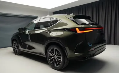 Lexus NX 350 AWD, 2026 — фото 4