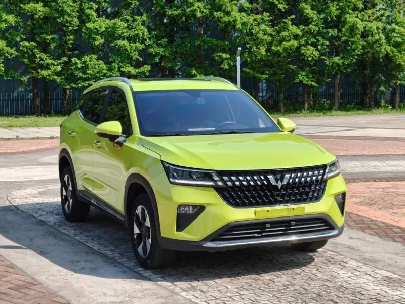 Wuling Xingchi, 2024