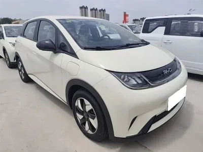 BYD Dolphin Surf 2026