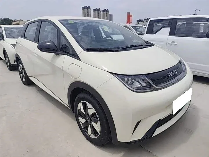 BYD Dolphin Surf, 2026