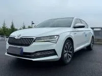 Skoda Superb, 2023 — фото 1