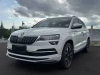 Skoda Karoq, 2023 — фото 1