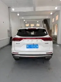 Haval H6, 2021