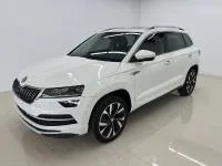 Skoda Karoq, 2022 — фото 1