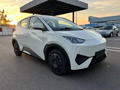 BYD Seagull 2026
