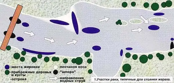 10 секретов успешной ловли жереха весной, о которых вы не знали!