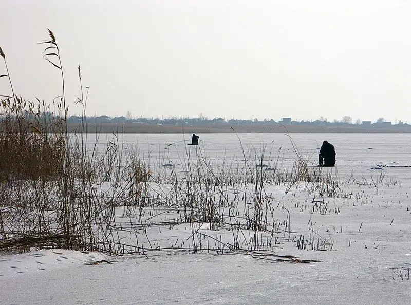 Рыбалка и улов