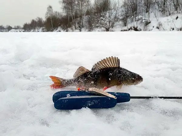 Амерьевский Карьер