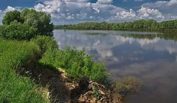 Уникальные рыболовные места Рязанской области: не пропустите!