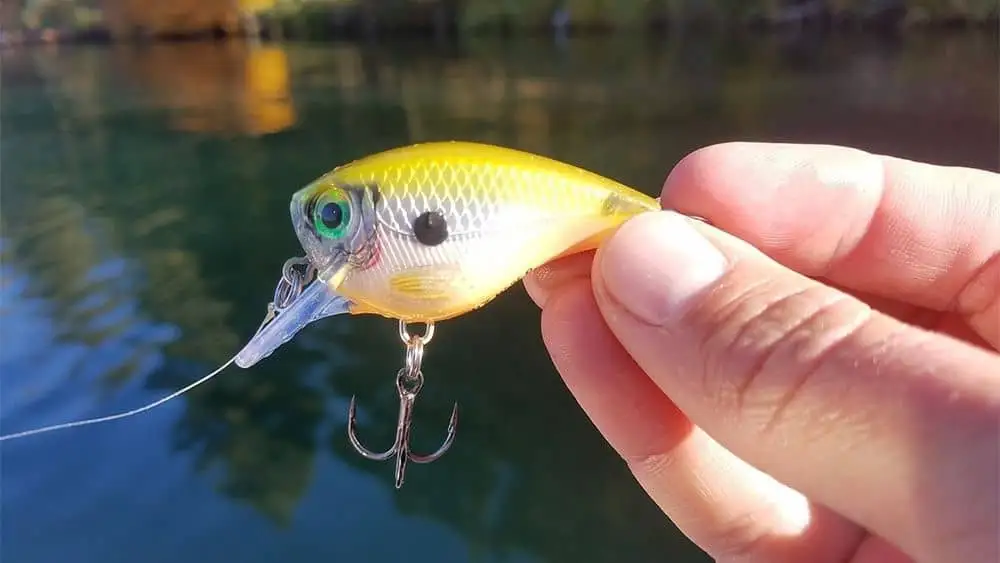 Кренкбейт Rapala BX Squarebill в работе