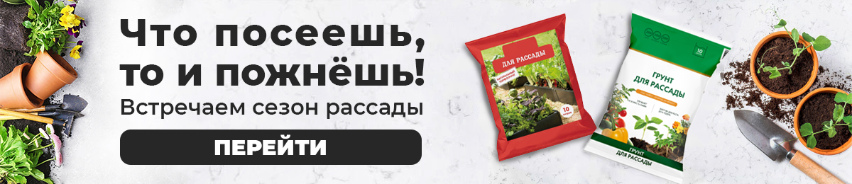 Что посеешь, то и пожнёшь!