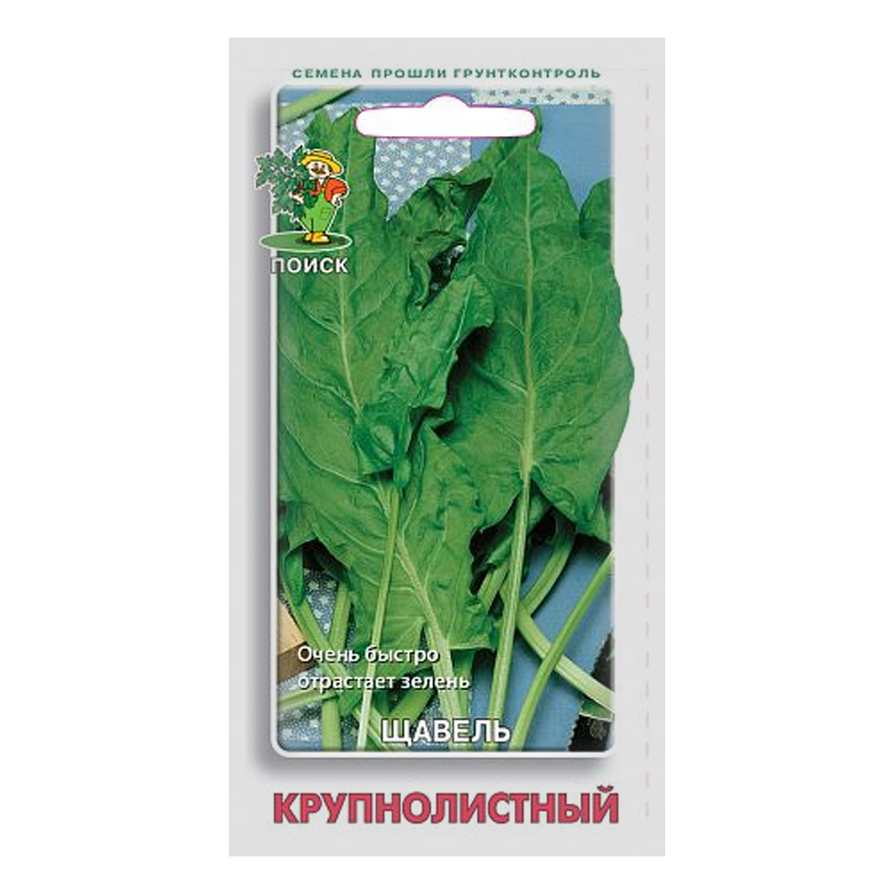Семена щавель Крупнолистный Поиск (0.5 г) - Купить с доставкой в СТРОЙУДАЧЕ