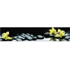 Панель интерьерная Цветы7 Орхидеи в воде 3000*600*1,5мм ABS