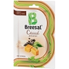 Саше ароматическое Gourmet Breesal UPECO SAC020.05/1