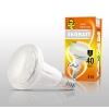 Лампа светодиод. ECOWATT R50 230В 4(40)W 2700K E14 теплый белый свет, рефлекторная
