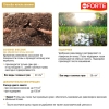 Удобрение газонное Bona Forte (4.5 кг)