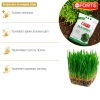 Удобрение газонное Bona Forte (4.5 кг)
