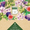 Ароматический диффузор Aromatherapy Созерцание красоты Breesal 70 мл