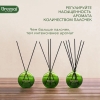 Ароматический диффузор Aromatherapy Созерцание красоты Breesal 70 мл