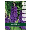 Луковицы Гладиолус Purple Flora (7 шт)