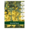 Луковицы Гладиолус Strong gold (7 шт)