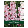 Луковицы Гладиолус Wine and Roses (7 шт)