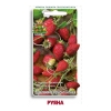Семена земляника ремонтантная Руяна Поиск (100 шт.)
