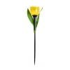 Светильник светодиодный садовый на солнечной батарее Uniel USL-C-651/PT305 TULIP SET 24