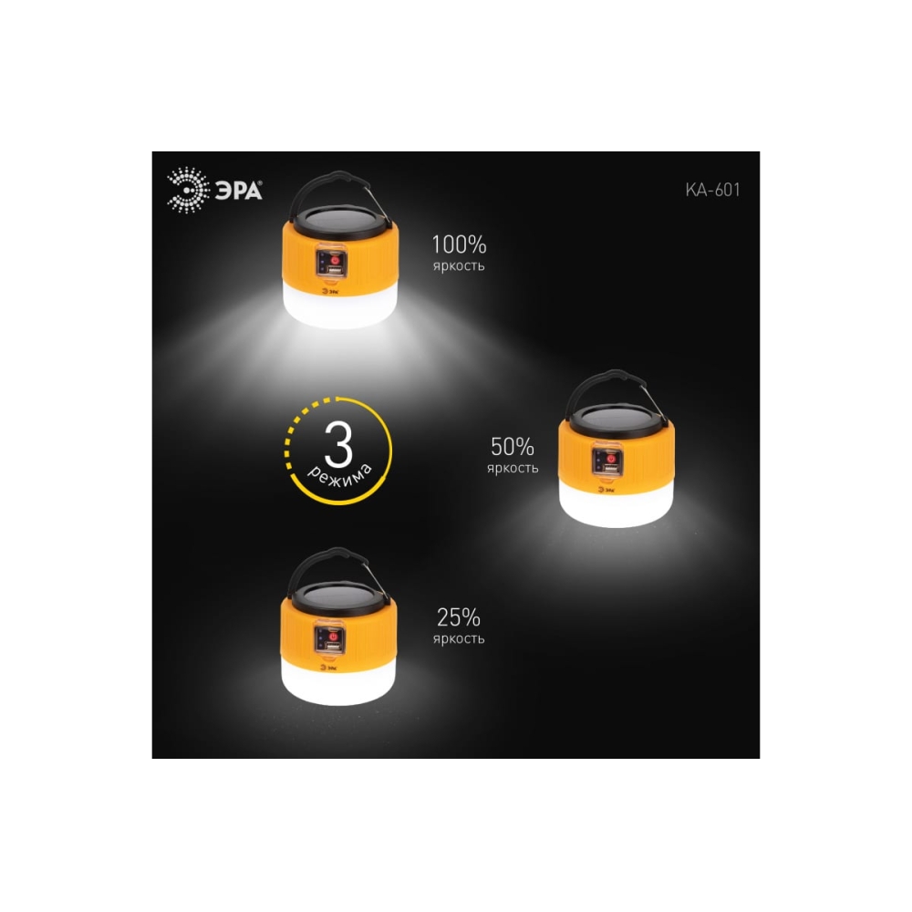 Pegas 601. Пегас фонарь светодиодный кемпинговый. Фонарь бытовой Эра ka-601 Пегас. Фонарь кемпинговый светодиодный Эра. Кемпинговый светодиодный фонарь от Эра "Феникс", режим Power Bank.
