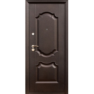 Дверь металлическая  (WZBNX-220) 960 R
