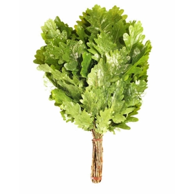 Веник дубовый