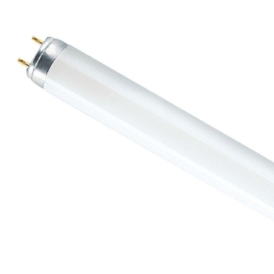 Лампа Osram L 36W/640 (20) G13 холодно-белый свет