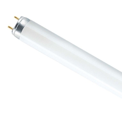 Лампа Osram L 36W/765 (10) G13 дневной свет