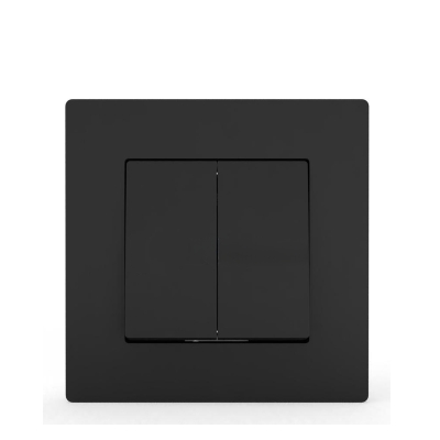 Выключатель 2-кл. СП в сборе карбон IP20 10А TOKOV Electric Pixel TKE-PX-V2F-C14