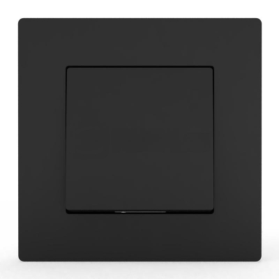 Выключатель 1-кл. СП в сборе карбон IP20 10А TOKOV Electric Pixel TKE-PX-V1F-C14