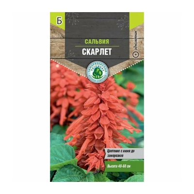 Семена цветов Сальвия Скарлет Тимирязевский питомник (0.1 г)