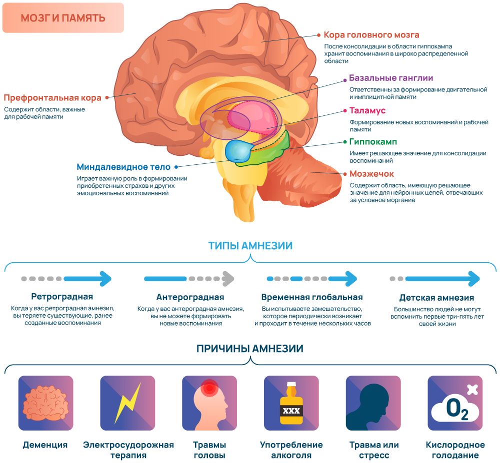 Типы и причины амнезии