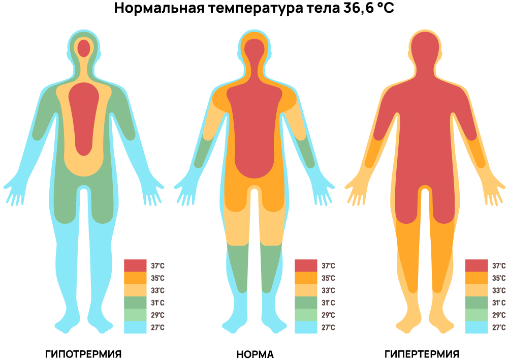 Температура тела