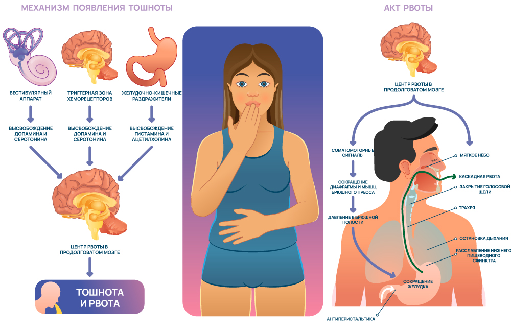 Процесс возникновения тошноты и рвоты