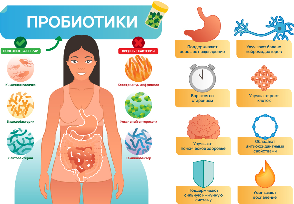 Свойства пробиотиков