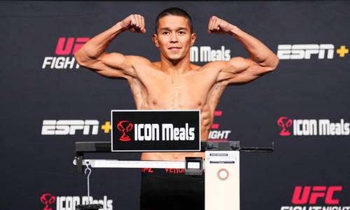 UFC анонсировал бой Алмабаева с Манелем Капе