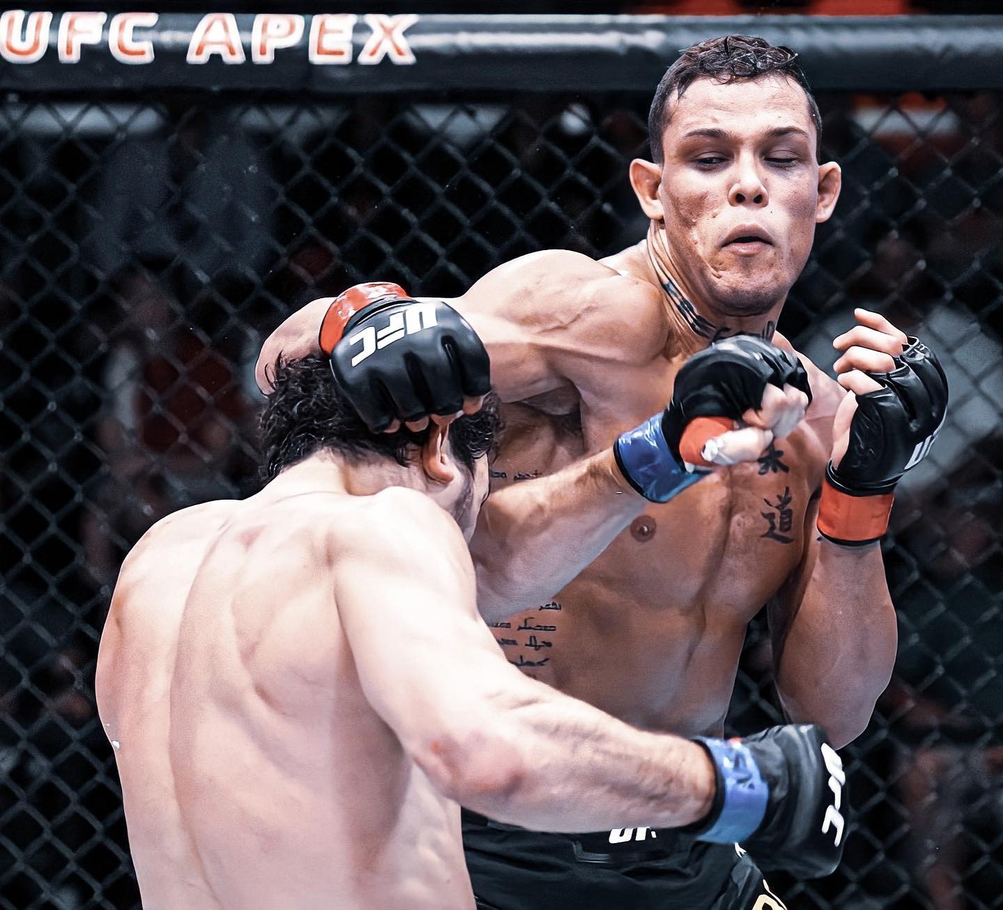 Ufc 267 чимаев. Кайо борральо. Caio brule. Кайо борральо статистика боев. Кайо баральо боец.