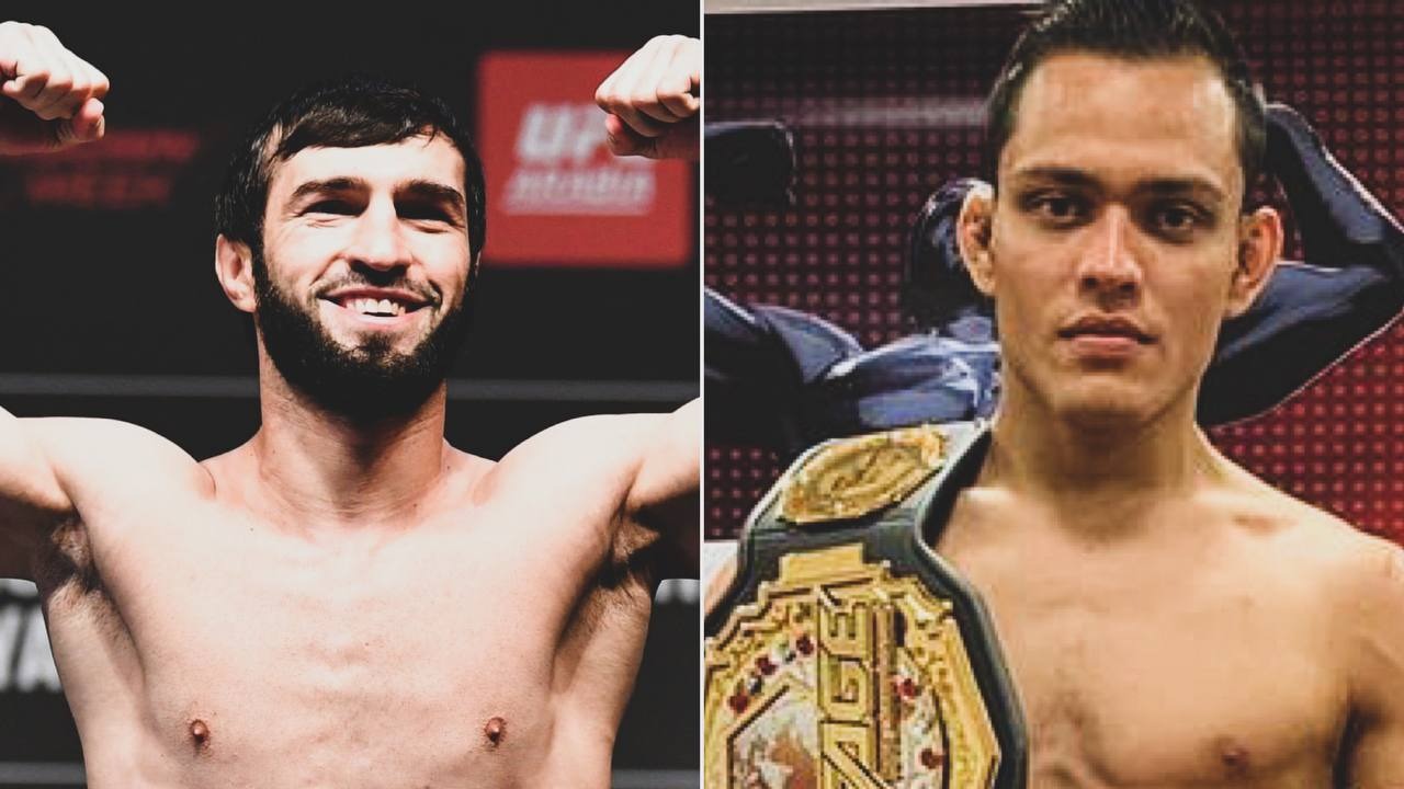 Ufc 284. Зубайра тухугов боец. Саид нурмагомедов. Элвис бреннер. Элвес бренер.