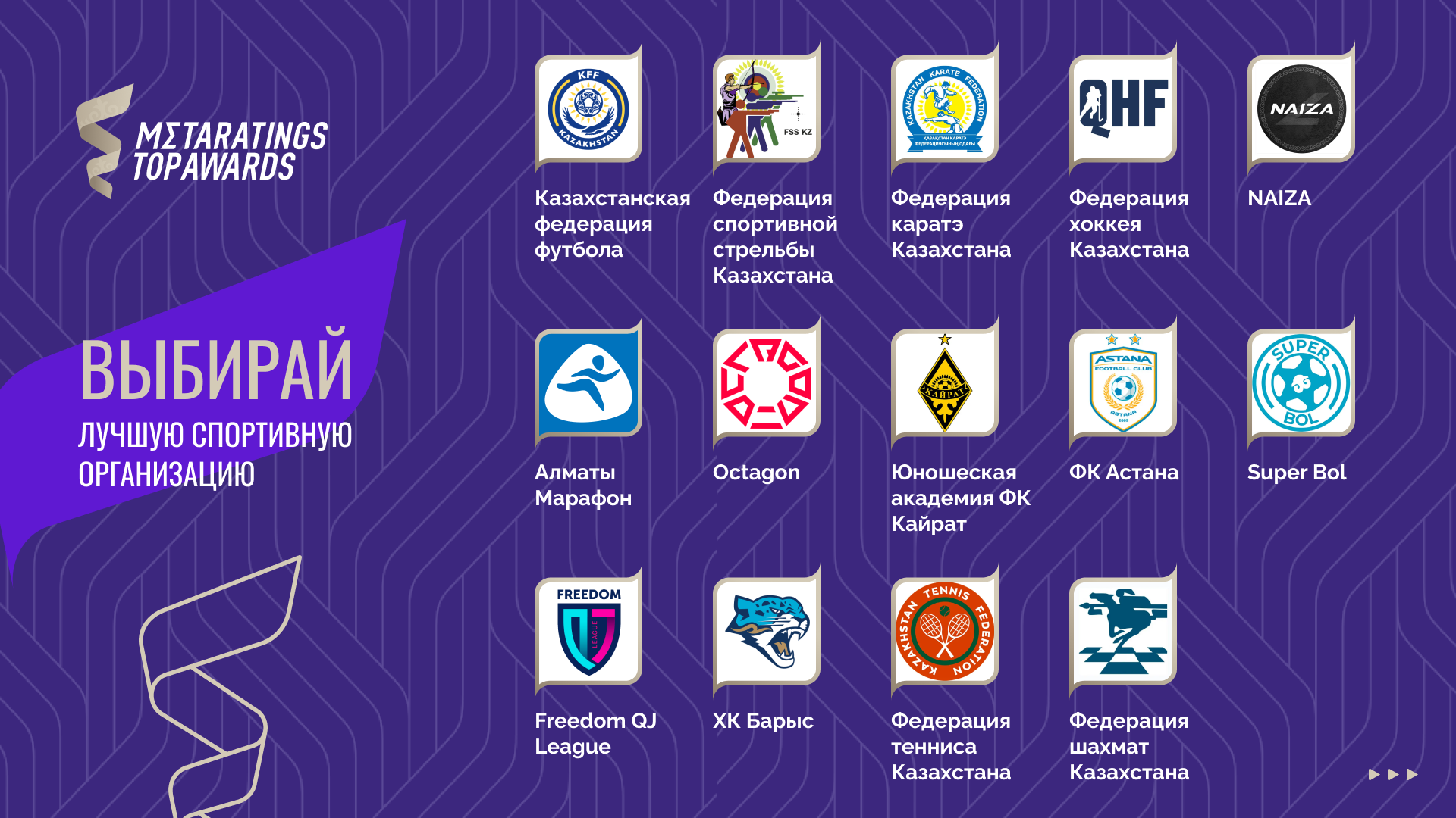 Лучшая спортивная организация Metaratings Top Awards