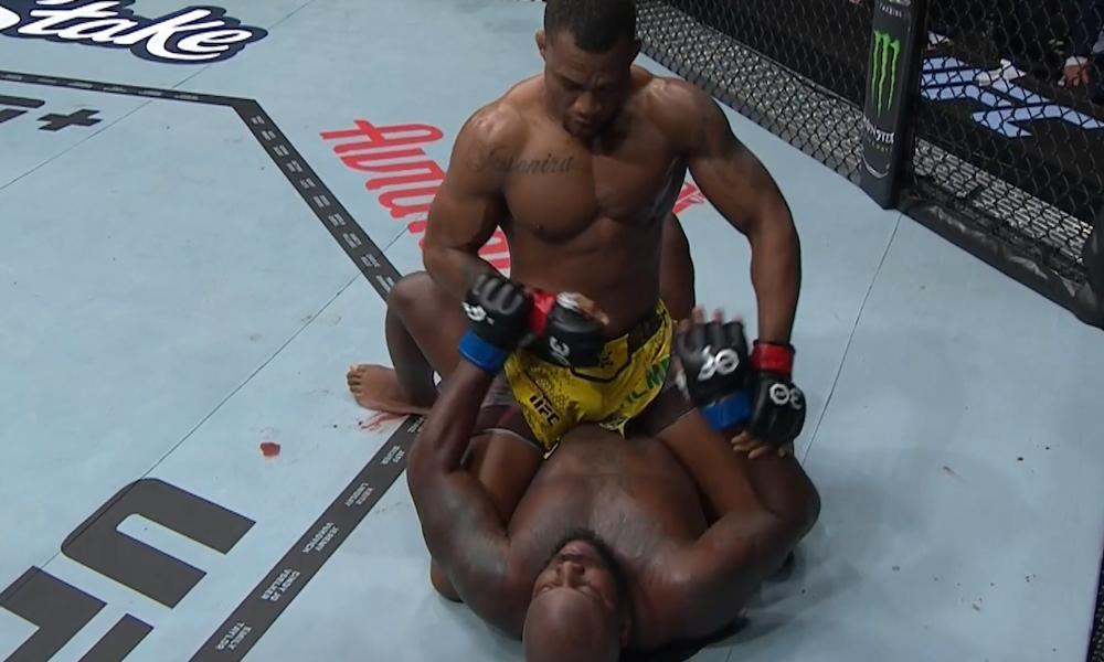 Результаты турнира UFC Fight Night 231: Льюис – Алмейда, Фахретдинов – дос Сантос