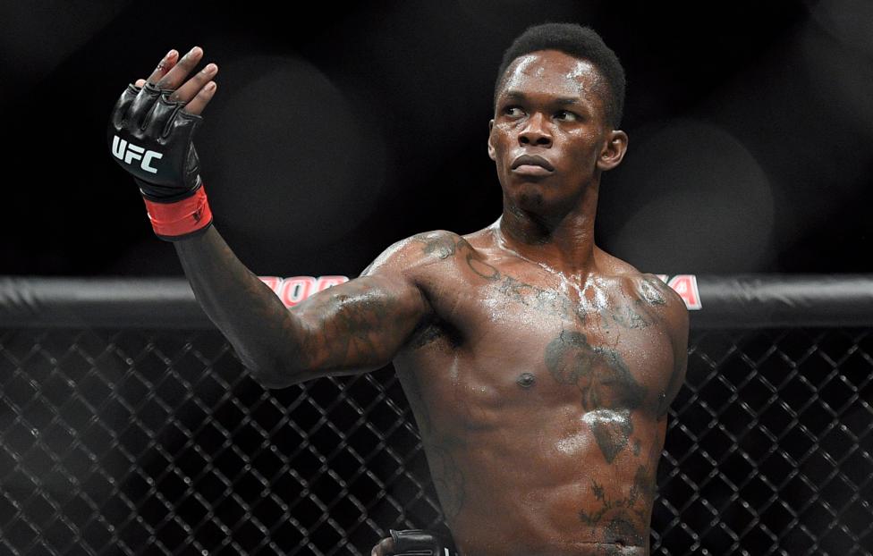 Адесанья – Имавов прогноз на UFC Fight Night 1 февраля 2024 года