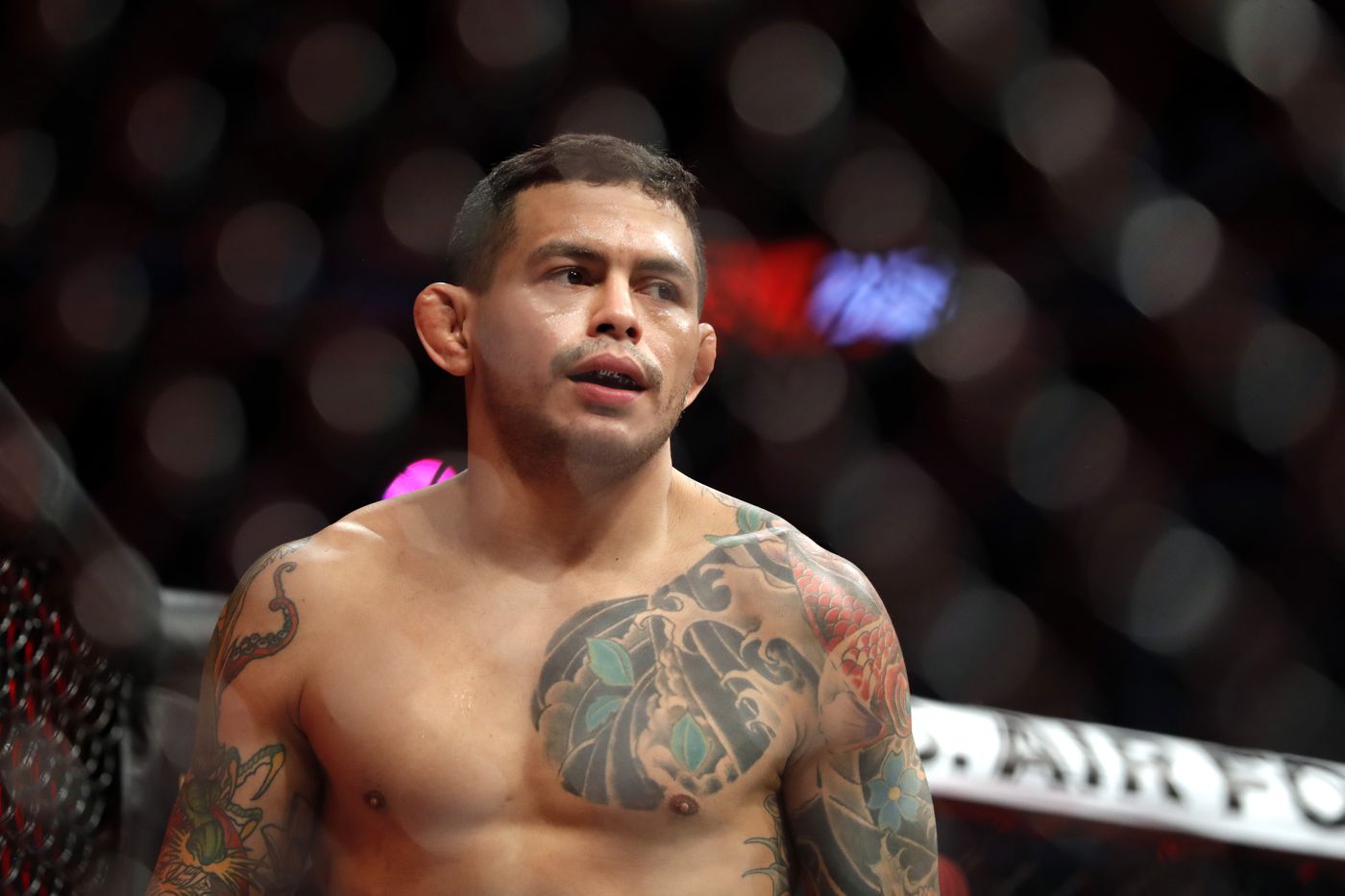 Доусон – Феррейра прогноз на UFC 311 19 января 2025 года