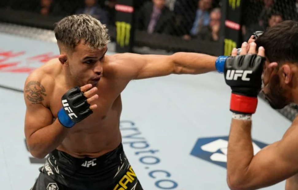 Сантос –  Йеонг Ли прогноз на UFC 315 11 мая 2025 года