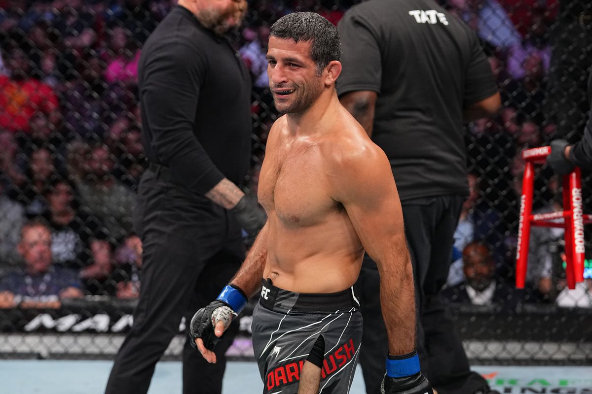 Дариюш – Мойкано прогноз на UFC 317 29 июня 2025 года