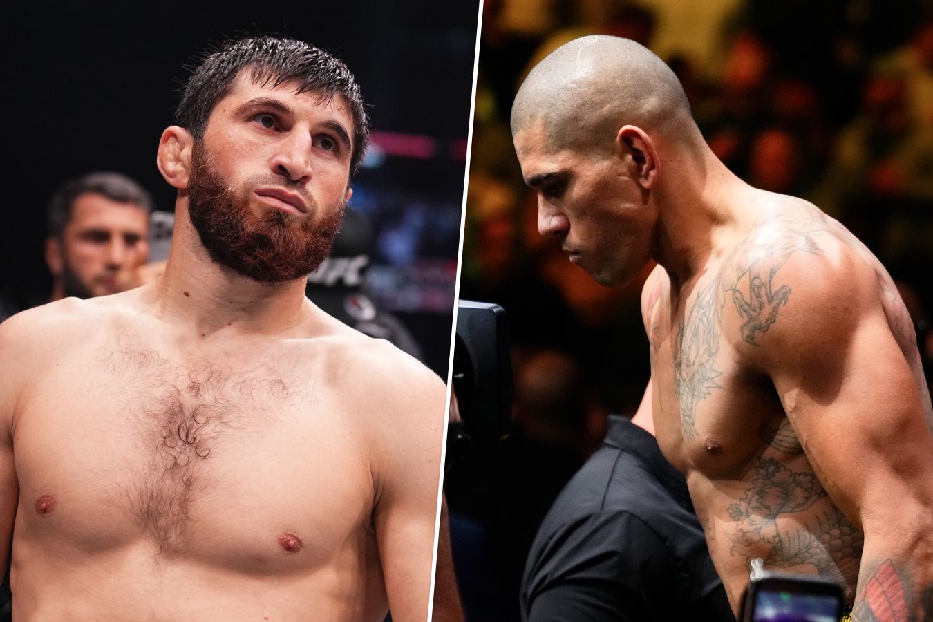 Хилл считает Анкалаева фаворитом боя с чемпионом UFC Перейрой